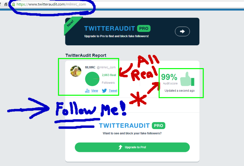 twitter-audit-mlmrc